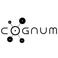 Cognum Net logo - Similar company to Thinkspan