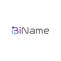 BiName logo - Similar company to Biname