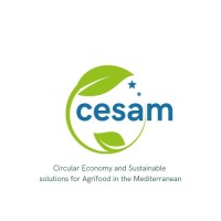 CESAM logo - Similar company to Fundacio Ibit
