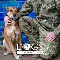 Dogs on Deployment logo - Similar company to Wisefit Treinamento Funcional