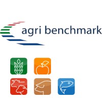 agri benchmark logo - Similar company to Agri Experts