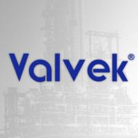 Valvek logo - Similar company to Rise29