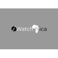 iWatch Africa logo - Similar company to Wave Technologies & Consultancy
