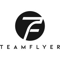 TeamFlyerStudio logo - Similar company to Funkyfrog Studio