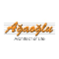 Agaoglu Group of Companies logo - Similar company to Welcomely Events