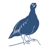 British Birds