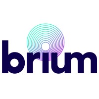 Brium Inc logo - Similar company to Nod.Ai