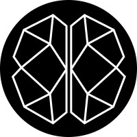 Braindora Technologies logo - Similar company to Ar2C