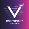 High-Velocity Startups logo - Similar company to Factory Frameworks