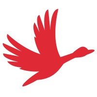 Raceduck logo - Similar company to Yosh.Ai