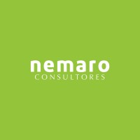 Nemaro Consultores logo - Similar company to Horizon Pty