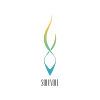 Soluvoll logo - Similar company to Code Financial Services
