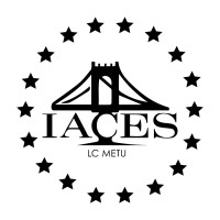 IACES METU LC logo - Similar company to Steadfastconstruction