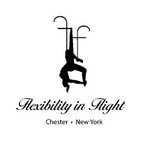 Flexibility in Flight, LLC logo - Similar company to Superior Scaffolding Services,Inc