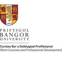 DPP Prifysgol Bangor University CPD logo - Similar company to Eo4Eu