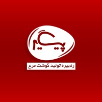 Paygir logo - Similar company to Morghe Tak