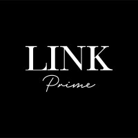 LinkPrime logo - Similar company to Artsnack