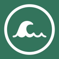 The Social Surfers 🌊 logo - Similar company to Mental Maps