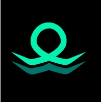 Gadir Team logo - Similar company to Augury Games