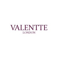 Valentte logo - Similar company to Reframeworks