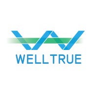 Wuhan Welltrue Energy Technology Ltd.