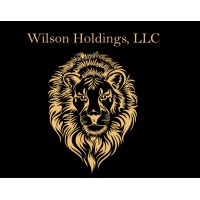 Wilson Holdings logo - Similar company to Spiderv2X