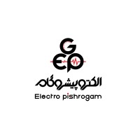 Electropishrogam logo - Similar company to Karapcb