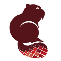 Castor Construction Group logo - Similar company to Com-Esco