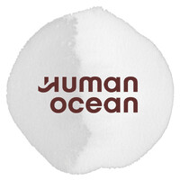Human Ocean Group logo - Similar company to Rh Forma Learning