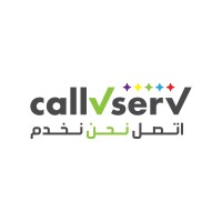 Call V Serv logo - Similar company to Diamond Air Cool Air-Conditioning