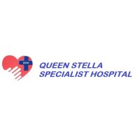 QUEEN STELLA SPECIALIST HOSPITAL, AKESAN, ALIMOSHO, LAGOS. logo - Similar company to Haven Pediatric Practice