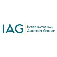 IAG REAL ESTATE logo - Similar company to Bilanzic Acquisitions Llc