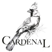 Cardenal Spirits LLC logo - Similar company to Syseti