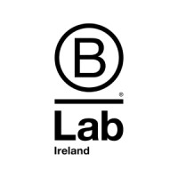B Lab Ireland logo - Similar company to Thrive Up