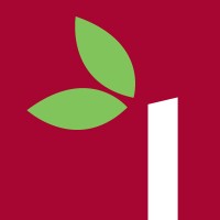 Somerlap Pallets logo - Similar company to Associated Pallets Ltd