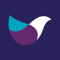 Birdie Financial Services logo - Similar company to Kr Hr & Training Consultancy Ltd
