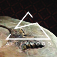 Allinwood logo - Similar company to Everlasting Base Sdn Bhd