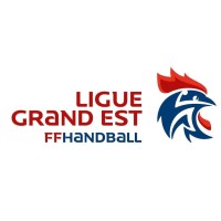 Ligue Grand Est de Handball logo - Similar company to Pulsa