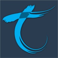 Telair logo - Similar company to Io Networks