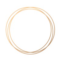 Oren & Co. logo - Similar company to The Development Tracker