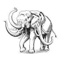 NOTANOTA logo - Similar company to Thynk