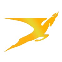 CSDS Aircraft Inc. logo - Similar company to Storystack Inc.