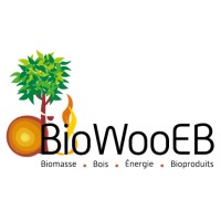 CIRAD BioWooEB - Biomasse, Bois, Énergie, Bioproduits logo - Similar company to Biostar