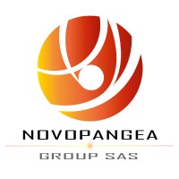 Novopangea Group logo - Similar company to Ebs Ltda
