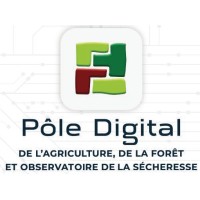 Pôle Digital de l’Agriculture, de la Forêt et Observatoire de la Sécheresse logo - Similar company to Ministry Of Agriculture, Fisheries, Rural Development, Water And Forests