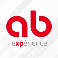 AB EXPERIENCE logo - Similar company to Detectit