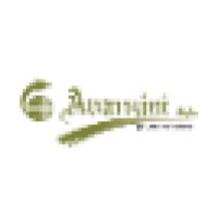 Avanzini logo - Similar company to Anda Technologies