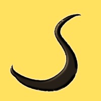 Silicia Jewelry logo - Similar company to Mac Diamonds