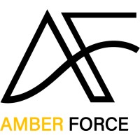 Amber Force logo - Similar company to Boldminds