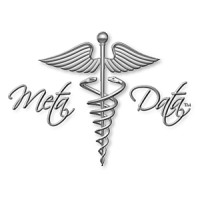 Meta Data logo - Similar company to Meta-Data